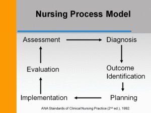 Nursing Process Model