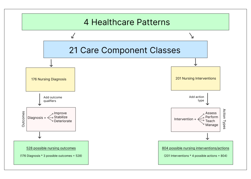 Figure 1. The Clinical Care Classification Framework